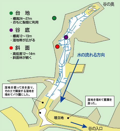 長田谷津の地形と水系の図